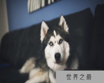 【图】梦到死人不一定是坏事，你知道吗？快来看看吧