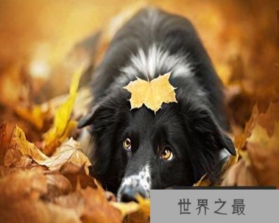 【图】梦到死人不一定是坏事，你知道吗？快来看看吧