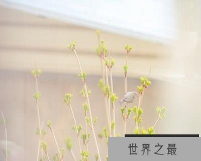 【图】梦到死人不一定是坏事，你知道吗？快来看看吧