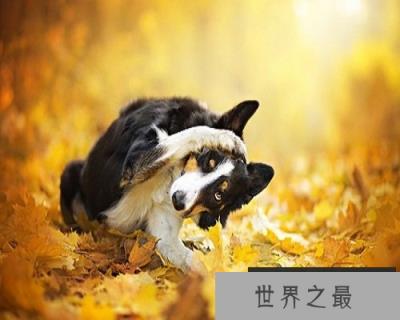 【图】梦到死人不一定是坏事，你知道吗？快来看看吧