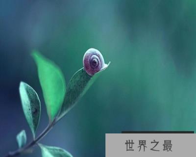 【图】梦到死人不一定是坏事，你知道吗？快来看看吧