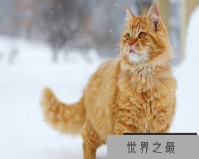 【图】梦到死人不一定是坏事，你知道吗？快来看看吧