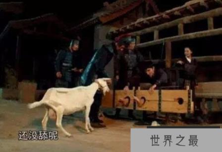 人真的会笑死，笑刑让你笑到窒息而亡(请勿挑战)