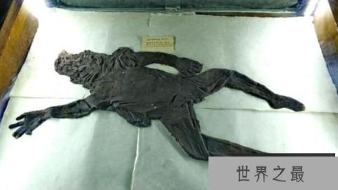 明御史练子宁受剥皮刑全过程，酷刑面前宁死不屈（割到死骂到死）