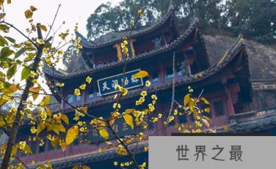 被活活饿死的皇帝:南梁武帝萧衍