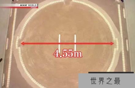 揭秘日本相扑运动，运动员退役后做些什么?