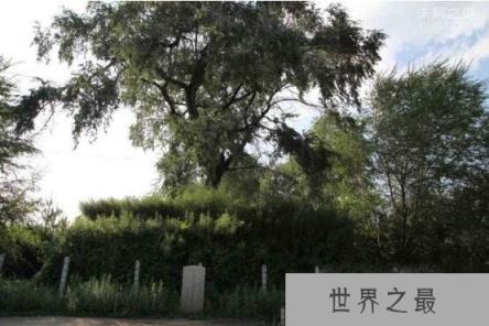 宁古塔之谜，清宫剧中的宁古塔竟是世外桃源