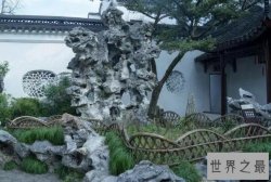 园林设计十大最常用的观景石，英石上榜，第三四大园林名石之一