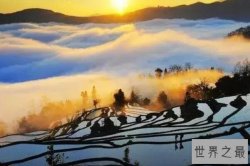 国内最美十大梯田，龙脊梯田上榜，第一进入了世界遗产名录