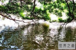 中国境内十大最邪门的地方排行榜 哑蛙湖上榜，第九非常离奇
