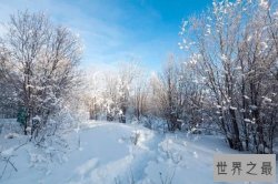 中国气候最差的八个城市 这八个城市气候不好不适合居住