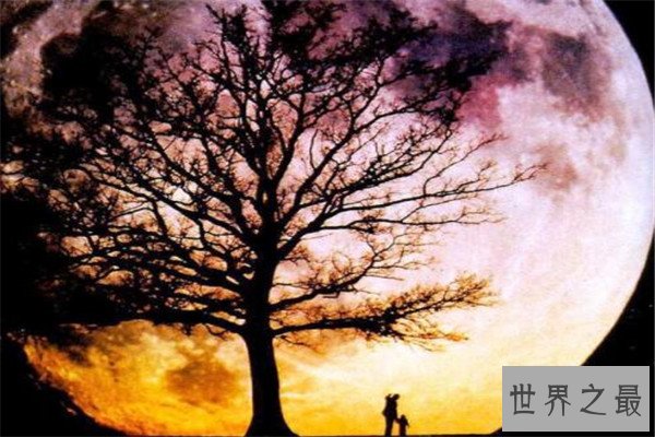 十大上古神树 星辰树以星辰为食，第七能直达天阙