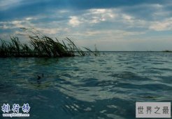 中国五大淡水湖，鄱阳湖面积为五湖之最（3960平方公里）