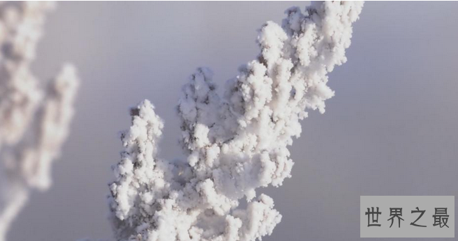 中国最冷的地方是哪里：黑龙江呼中区 最低-53.2℃