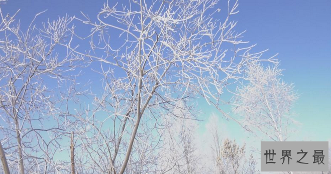 中国最冷的地方是哪里：黑龙江呼中区 最低-53.2℃