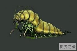 中国十大可怕蛊术,解密巫蛊之术害人的方法