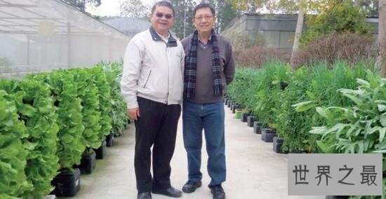 世界上最长名称的公司