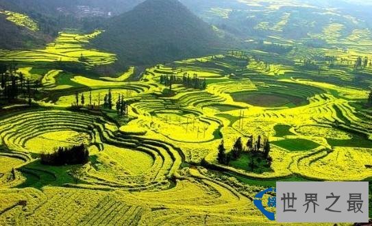 中国最大的自然花园获世界吉尼斯记录