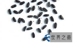 世界上最早的水稻田，竟然是6000多年前