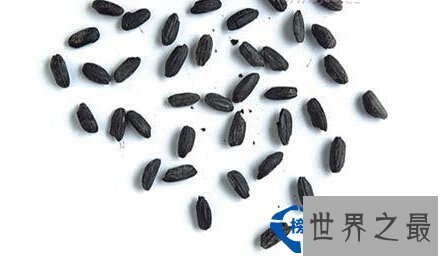 从没想过世界上最早的水稻田竟然是6000多年前