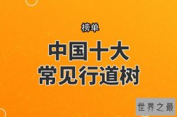 中国十大常见行道树，银杏树上榜，第四最为常见