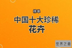 中国十大珍稀花卉 丹霞梧桐上榜，第一被誉为“茶族皇后”