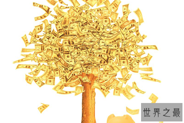 八种植物招财又旺宅 万年青排行第一，发财树、金钱树上榜
