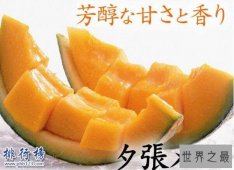 世界上最贵的十种水果排名 夕张王甜瓜7.35万元一个