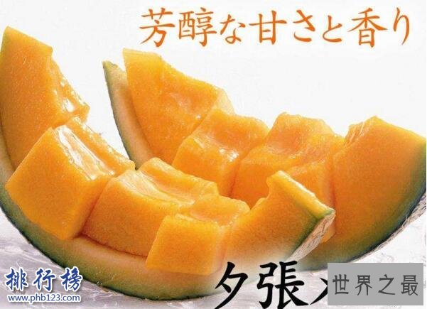 世界上最贵的十种水果排名 夕张王甜瓜7.35万元一个