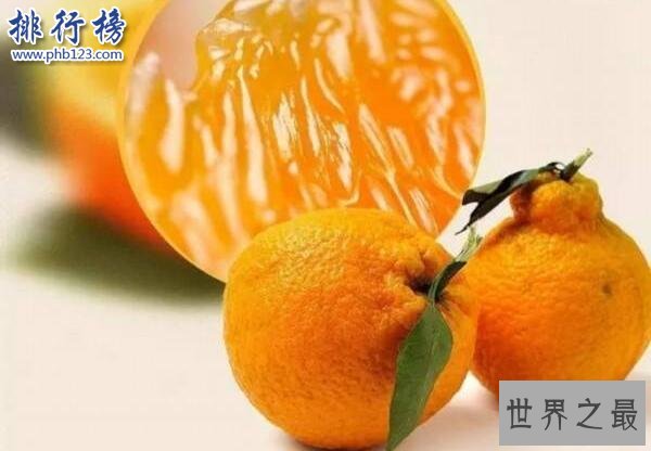 世界上最贵的十种水果排名 夕张王甜瓜7.35万元一个