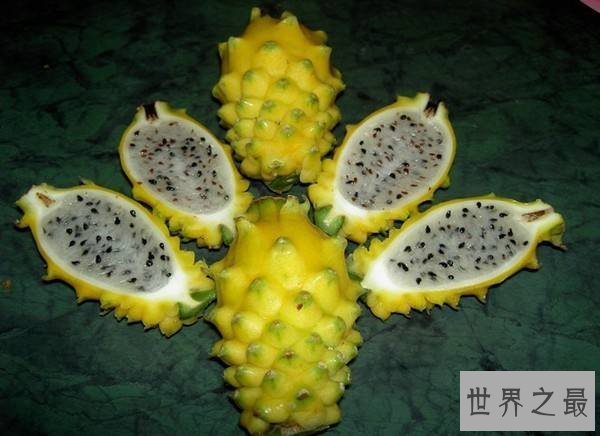 世界上最贵的十种水果排名 夕张王甜瓜7.35万元一个