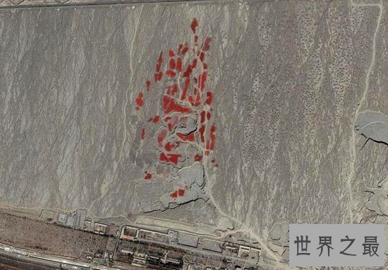 世界上最大的辣椒：50厘米 又香又甜
