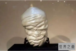 全球最贵十颗珍珠，第一是最大的珍珠，睡狮珍珠上榜