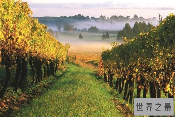 新西兰移民十大城市