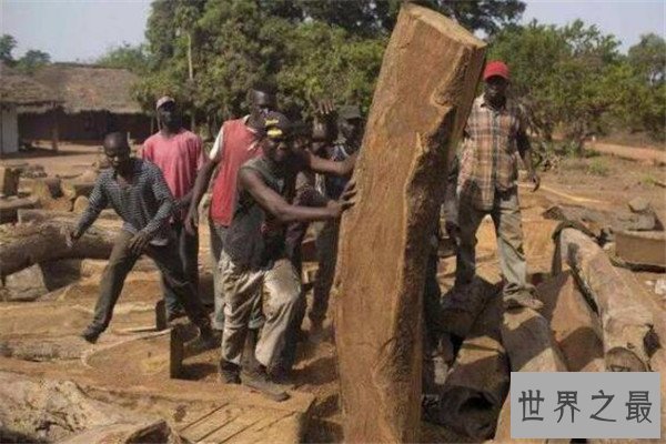 世界十大卫生差国 印度上榜，大部分国家在非洲