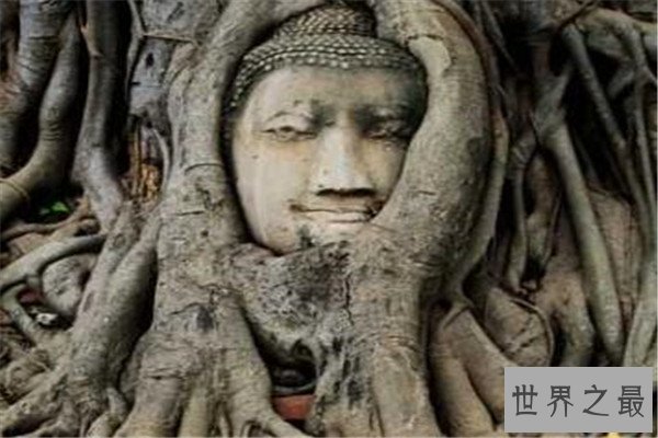 世界十大佛像 我国中原大佛最高，卧佛寺卧佛无人不知