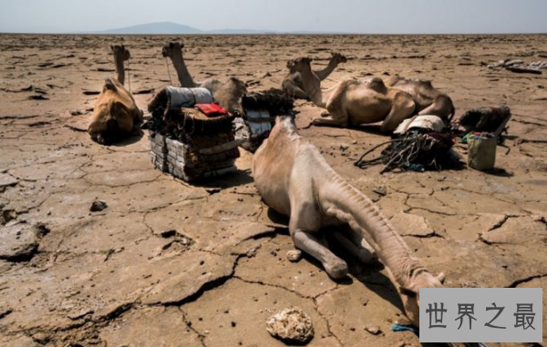 世界十大缺水国家 柬埔寨上榜，索马里位列第一
