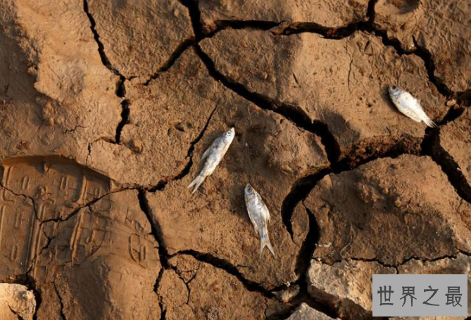 世界十大缺水国家 柬埔寨上榜，索马里位列第一