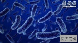 世界十大致命毒素，河豚毒仅第5第1常被用来除皱