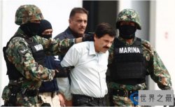 世界上最大贩毒集团 古兹曼成为世界上最大的毒枭