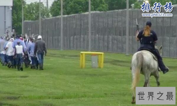 美国最恐怖的监狱:安哥拉监狱,只有尸体才能离开