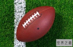 世界橄榄球国家队排名，爱尔兰登顶南非不敌英国