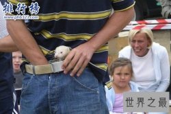 世界十大奇怪体育运动，最稀奇古怪的运动有哪些