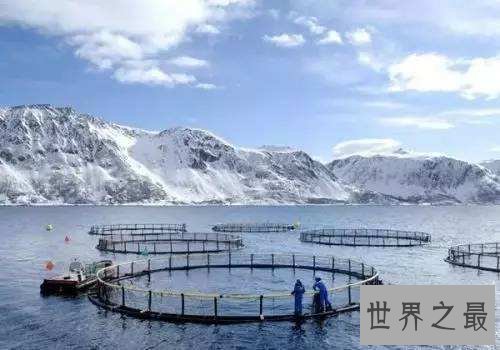 挪威超级渔场图片