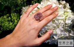 世界最贵钻石粉红之星：价值6千万美元（重59.60克拉）