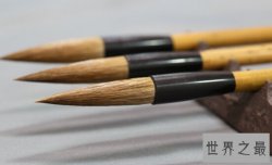 世界上最早的笔，中国毛笔（距今约有3500年）