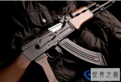 世界十大名枪，中国95式排名第十