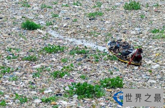 世界上最脏的河流 印尼芝塔龙河(捡垃圾的收入比捕鱼更高)