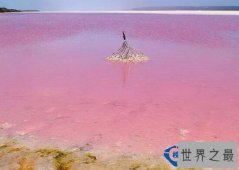 盘点世界上最美的海滩 粉色海滩带来梦幻味道