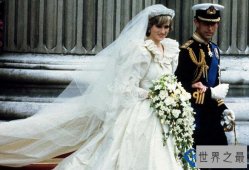 世界上十大最唯美婚纱 夏琳王妃4万颗水晶镶嵌